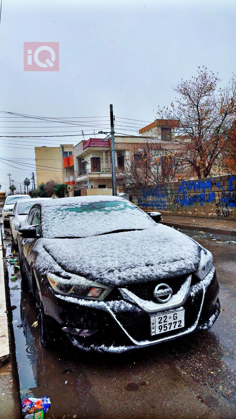 نيسان ماكسيما